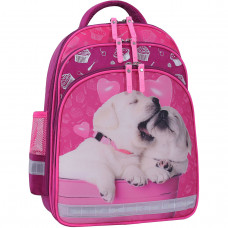 Рюкзак шкільний Bagland Mouse 14 л (5132 143 малиновий 593)