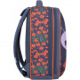 Рюкзак шкільний Bagland Turtle 17 л (134 321 сірий 499)