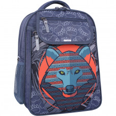Рюкзак шкільний Bagland Відблиск 20 л (580 321 сірий 509)